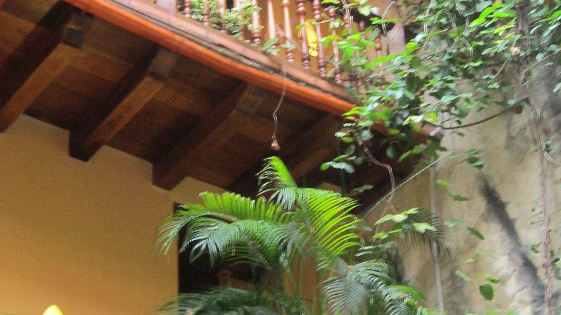 Hotel Casa India Catalina